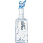 Gatsby Shower Fresh Aqua Musk 60ml