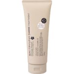 Salon Link Amino Damage Repair Camellia Treatment