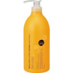 Salon Link Extra Conditioner, Osmanthus Fragrance