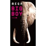 Okamoto Mega Big Boy