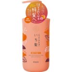 Ichikami Dense Double Moisturizing Care Shampoo Pump