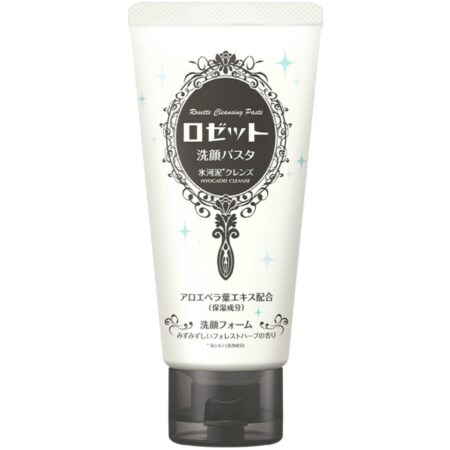 Rosette Face Wash Pasta Glacial Mud Cleanse