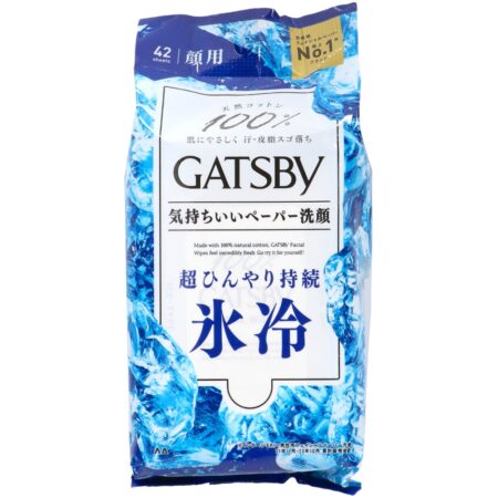 Gatsby Facial P Ice Type Value Pack