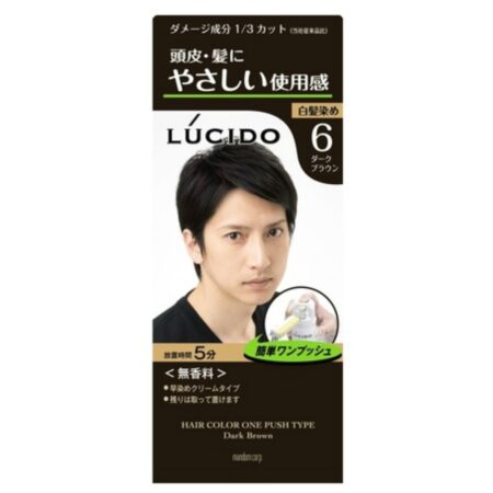 LUCIDO One Push Care Color Dark Brown