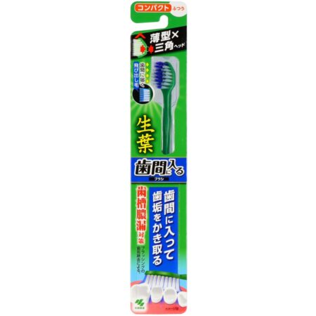 A brush that fits between the teeth, compact, regular