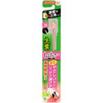 Fresh Leaf Fluffy Polishing Brush Compact