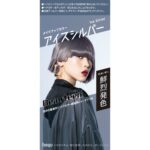 Beauteen Makeup Color Ice Silver