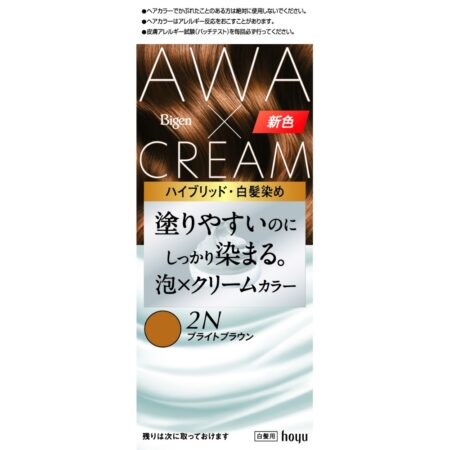 Bigen Foam Cream Color 2N Bright Brown