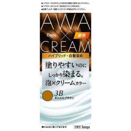 Bigen Foam Cream Color 3B Camel Brown