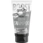 Got2b Color Shampoo Silver