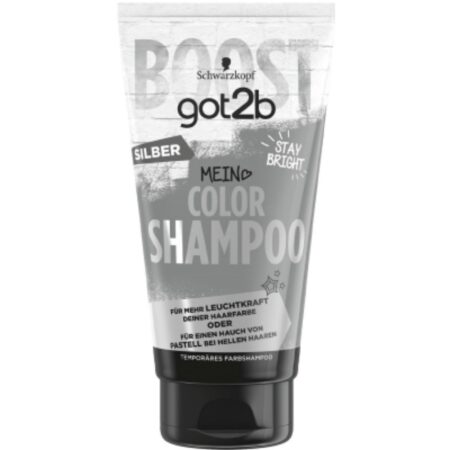 Got2b Color Shampoo Silver